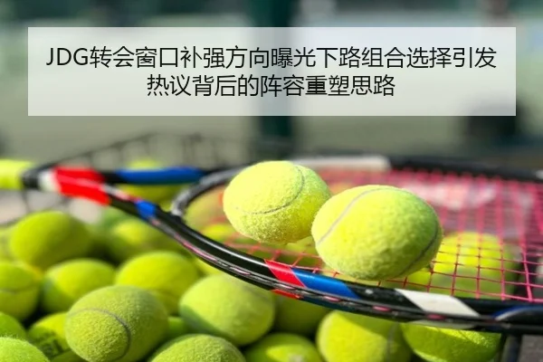 JDG转会窗口补强方向曝光下路组合选择引发热议背后的阵容重塑思路